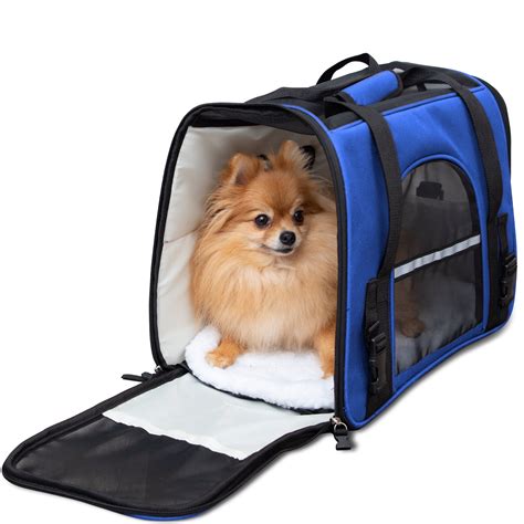 best dog bag for traveling.